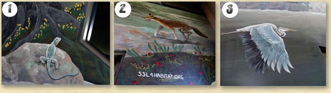 Wildcat Glades Mural